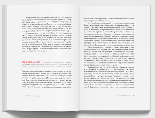 Бумажная книга «Свідомість Дзен, Cвідомість початківця», автор Сюнрю Судзуки - фото №1