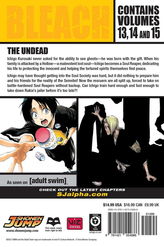 [object Object] «Bleach. 3-in-1 Edition. Volume 5», автор Тайто Кубо - фото №2 - миниатюра