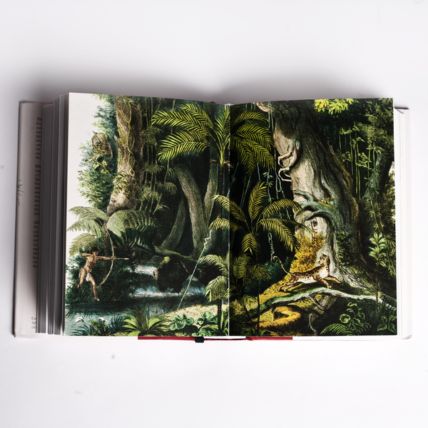 Паперова книга «Martius: The Book of Palms», автор Вальтер Лек - фото №1