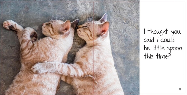 Бумажная книга «Love Cats. A Book of Cat Lovers for Cat-Lovers», автор Хьюго Росс - фото №1