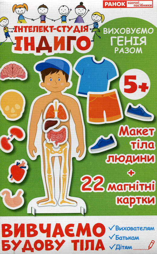 Вивчаємо будову тіла