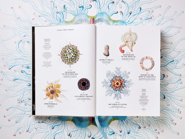 Бумажная книга «The Art and Science of Ernst Haeckel», авторов Райнер Вилльманн, Джулия Восс - фото №1