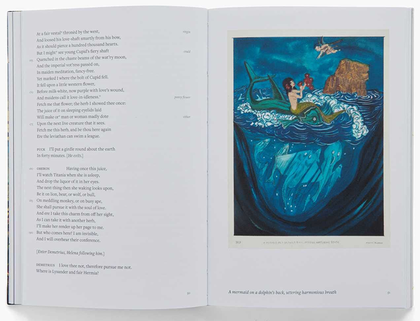 Бумажная книга «William Shakespeare Marcel Dzama. A Midsummer Nights Dream», авторов Уильям Шекспир, Марсель Дзама - фото №1