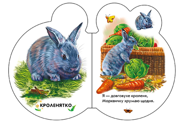 Бумажная книга «На подвір'ї», автор Ирина Солнышко - фото №1