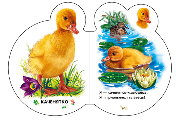 Бумажная книга «У селі», автор Ирина Солнышко - фото №1