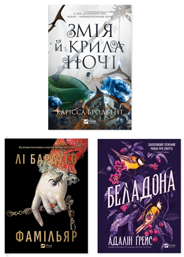 Бумажная книга «Темна магія й пригоди (комплект із 3 книг)», авторов Карисса Бродбэнд, Ли Бардуго, Адалин Грейс - фото №1