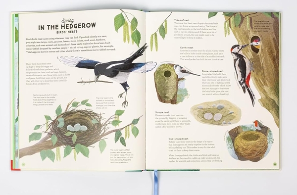 Бумажная книга «A Story of the Seasons», автор Анна Уилсон - фото №1