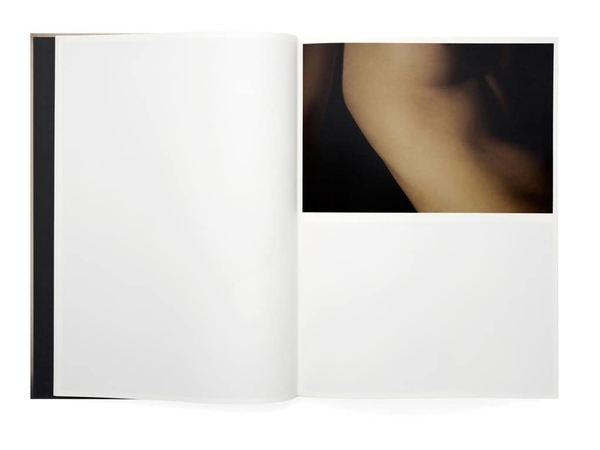Бумажная книга «David Lynch, Digital Nudes», автор Дэвид Линч - фото №1