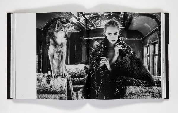 Паперова книга «David Yarrow: The Collection», автор Девід Ярроу - фото №1