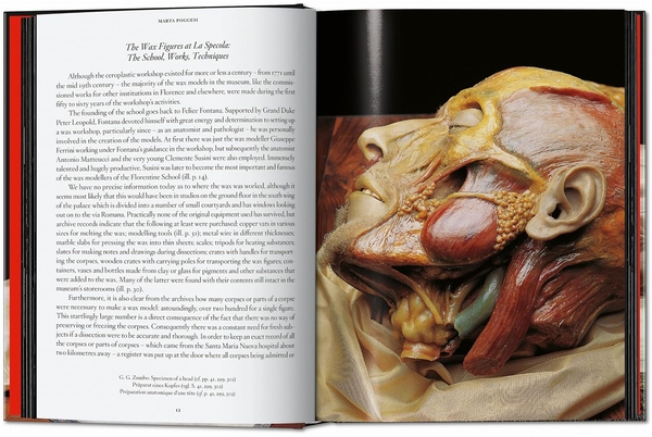Бумажная книга «Anatomical Waxes», автор Марта Поггеси - фото №1