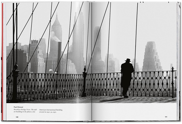 Бумажная книга «New York. Portrait of a City», автор Реуэл Голден - фото №1