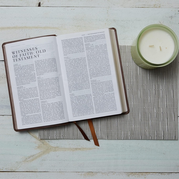 Бумажная книга «NRSV Catholic Edition Gift Bible», автор Католическое библейское издательство - фото №1