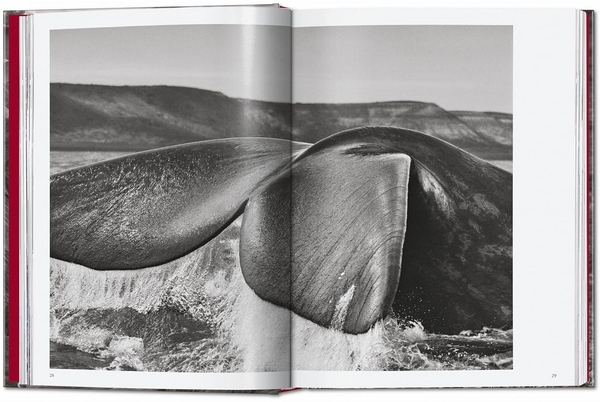 Бумажная книга «Sebastião Salgado. Genesis. 45th Ed.» - фото №1