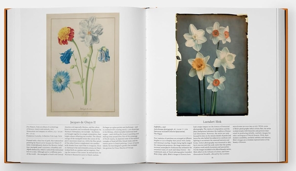Бумажная книга «Flower: Exploring the World in Bloom», автор Редакторы "Phaidon" - фото №1