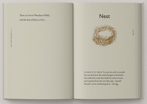 Бумажная книга «The Book of Birds: A Field Guide to Wonder and Loss», авторов Джеки Моррис, Роберт Макфарлейн - фото №1