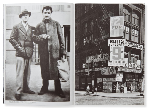 Бумажная книга «Arshile Gorky: New York City», автор Адам Гопник - фото №1