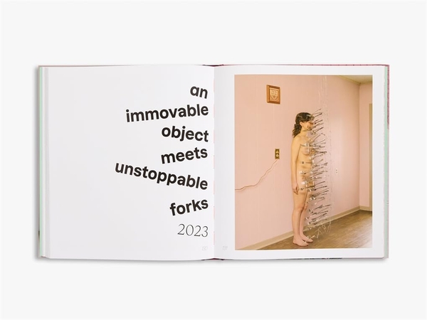 Паперова книга «Brooke DiDonato: Take a Picture, It Will Last Longer», автор Брук ДіДонато - фото №1