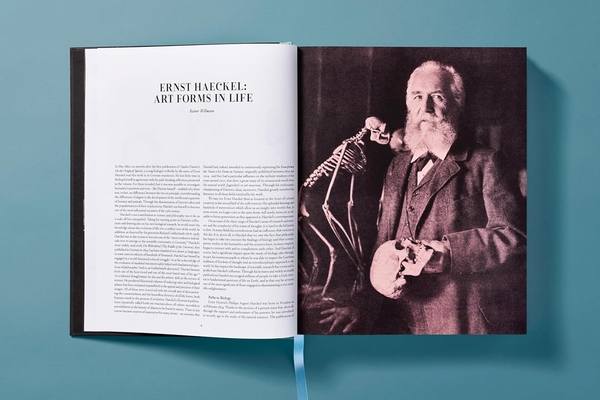 Paper book «The Art and Science of Ernst Haeckel», author Julia Voss - фото №1