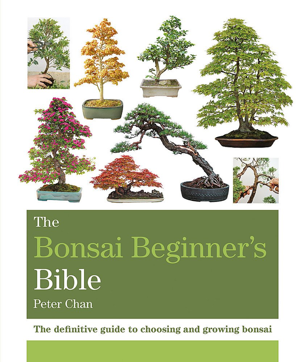 Паперова книга «The Bonsai Beginner's Bible», автор Пітер Чан - фото №1
