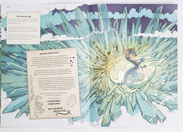 Бумажная книга «The Dragon Ark. Join the quest to save the rarest dragon on Earth» - фото №1