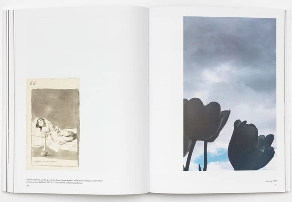 Бумажная книга «Ever Goya» - фото №1