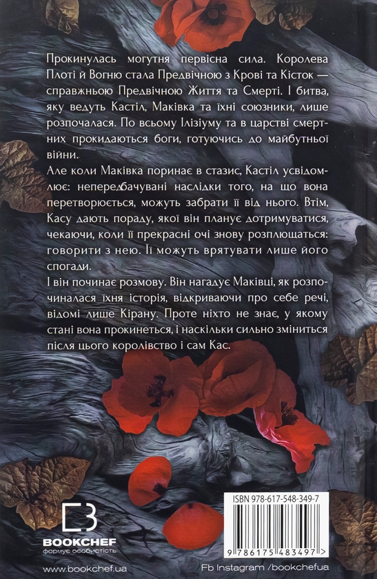 Бумажная книга «Кров і попіл. Книга 5. Душа з попелу та крові», автор Дженнифер Л. Арментраут - фото №1