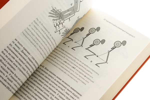 Бумажная книга «Слідуй за розбитим черепом. Історія еволюції скелета», автор Леонид Горобец - фото №1