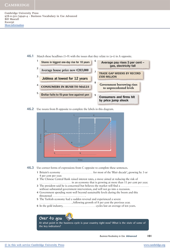 Паперова книга «Business Vocabulary in Use: Advanced with Answers (+ CD-ROM)», автор Білл Мескалл - фото №1