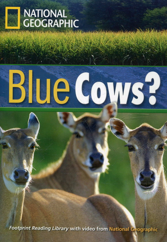 [object Object] «Blue Cows? (+DVD)» - фото №1