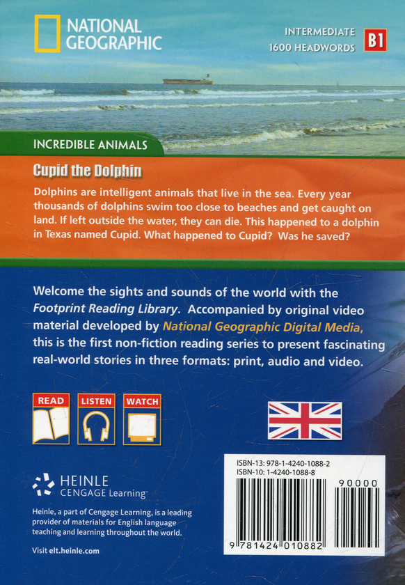 [object Object] «Cupid the Dolphin (+DVD)» - фото №3 - мініатюра