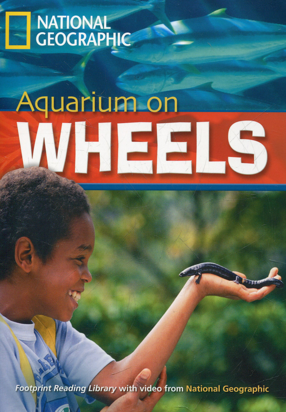 [object Object] «Aquarium on Wheels (+DVD)» - фото №1