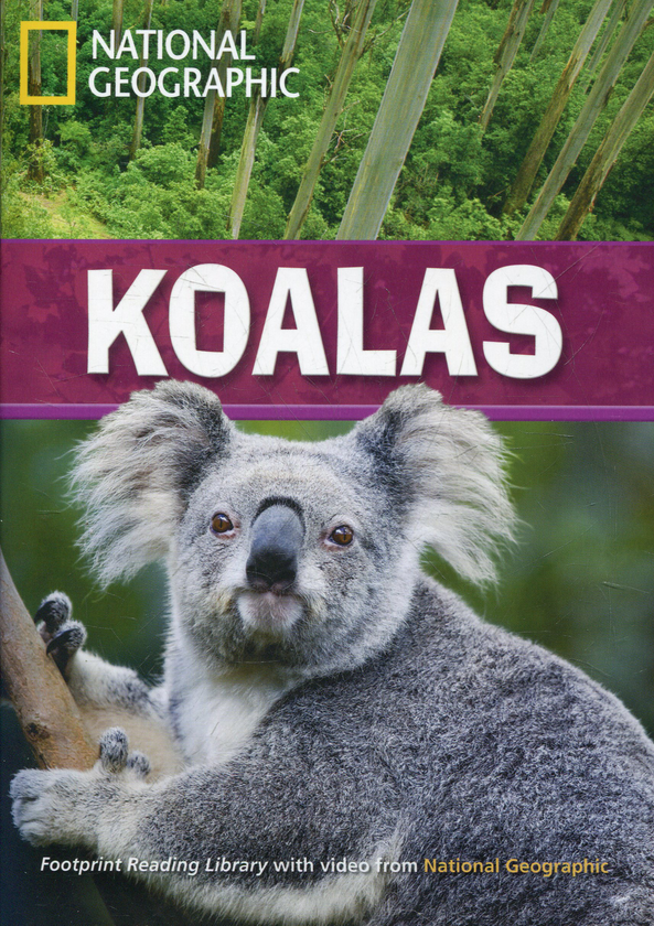 Паперова книга «Koalas (+DVD)» - фото №1