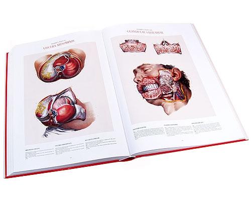Бумажная книга «Atlas of Human Anatomy and Surgery. The Coloured Plates of 1831-1854», авторов Жан Марк Боржери, Николас Генри Якоб - фото №1
