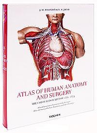 Бумажная книга «Atlas of Human Anatomy and Surgery. The Coloured Plates of 1831-1854», авторов Жан Марк Боржери, Николас Генри Якоб - фото №1