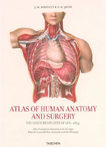 Бумажная книга «Atlas of Human Anatomy and Surgery. The Coloured Plates of 1831-1854», авторов Жан Марк Боржери, Николас Генри Якоб - фото №1
