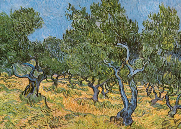  «Открытка Tushita Vincent van Gogh Olive grove», бренда Tushita - фото №1