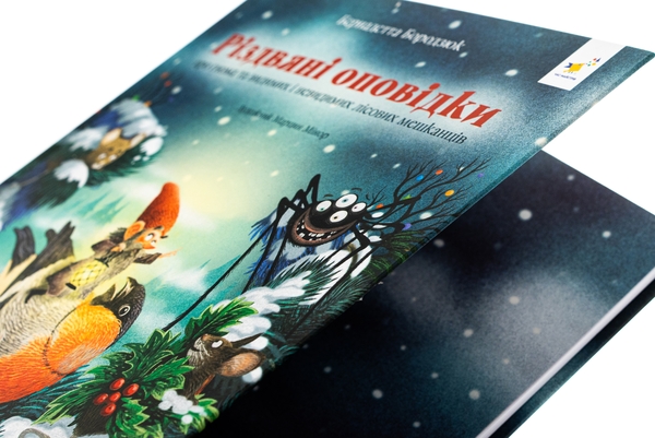 Бумажная книга «Різдвяні оповідки про гнома та видимих і невидимих лісових мешканців», автор Бернадетта Бородзюк - фото №1