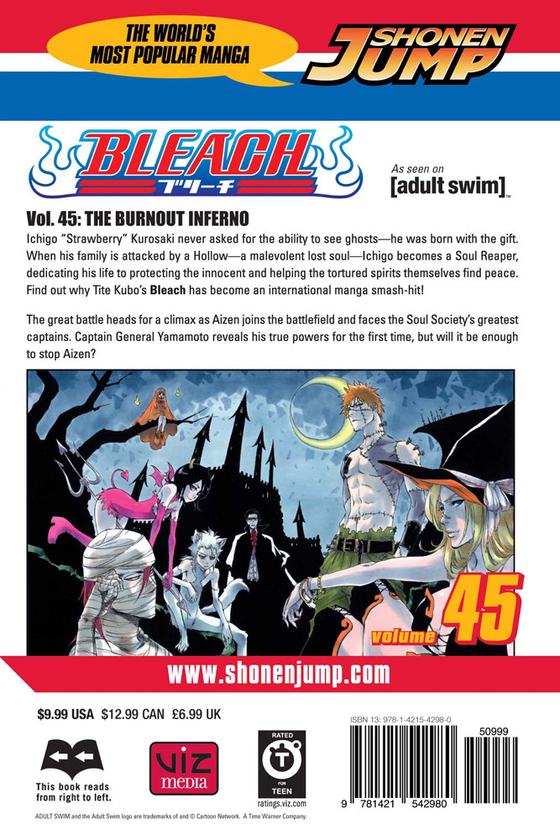 Бумажная книга «Bleach. Volume 45», автор Тайто Кубо - фото №1