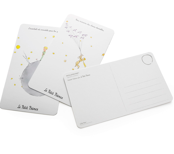  «Подарочный набор Moleskine Le Petit Prince (GBLEPETIT#978-88-6613-479-4)», бренда Moleskine - фото №1