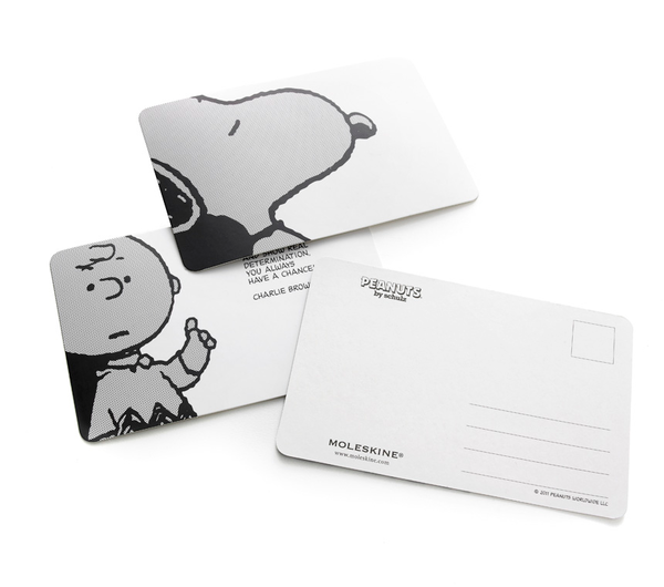  «Подарочный набор Moleskine Peanuts (GBLEPEANUTS#978-88-6613-478-7)», бренда Moleskine - фото №1