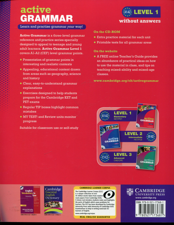 [object Object] «Active Grammar 1 Without Answers (+CD)», авторів Фіона Девіс, Вайн Риммер - фото №3 - мініатюра