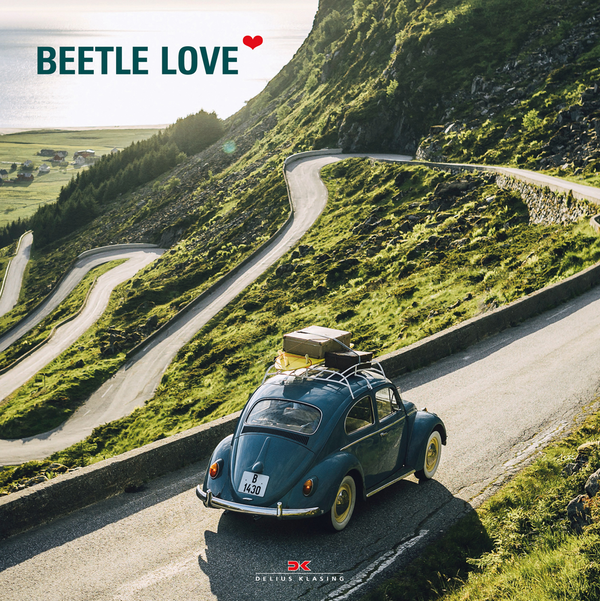 [object Object] «Beetle Love», автор Торстен Брінкманн - фото №1