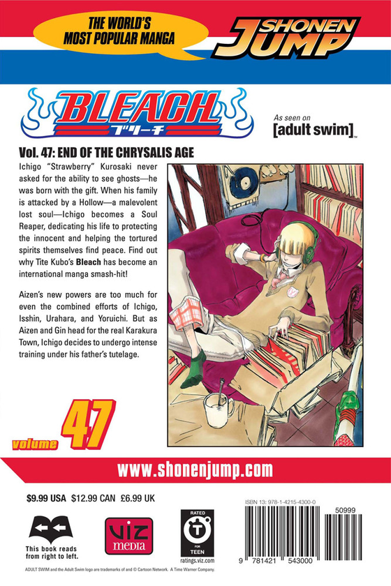 Паперова книга «Bleach. Volume 47», автор Тайто Кубо - фото №1