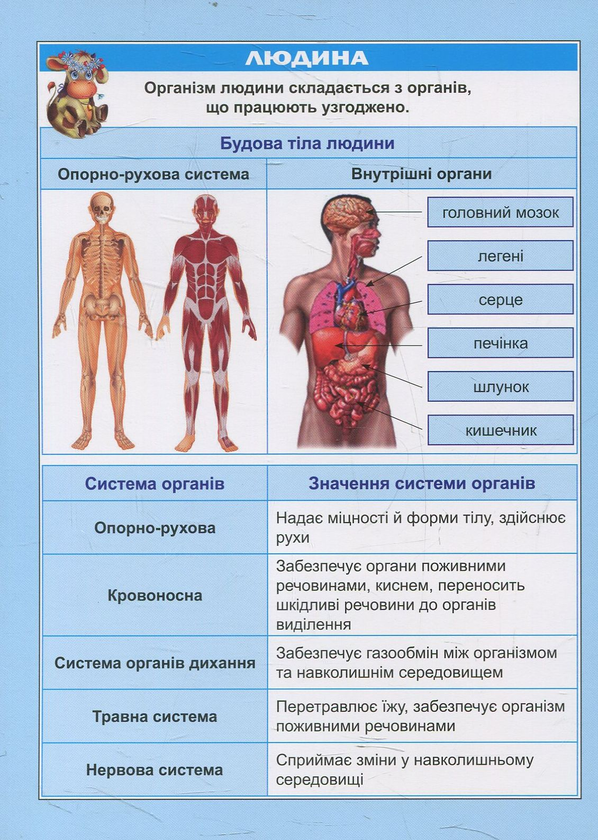 [object Object] «Міні-підручник. Природознавство. 1- 4 класи», автор Олена Безкоровайна - фото №2 - мініатюра