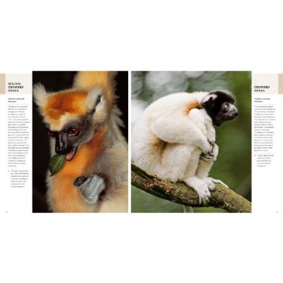 Паперова книга «Animals on the Edge», автор Кріс Вестон - фото №1