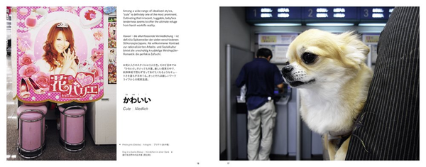 Паперова книга «Tokyo Clash», автор Ральф Барен - фото №1