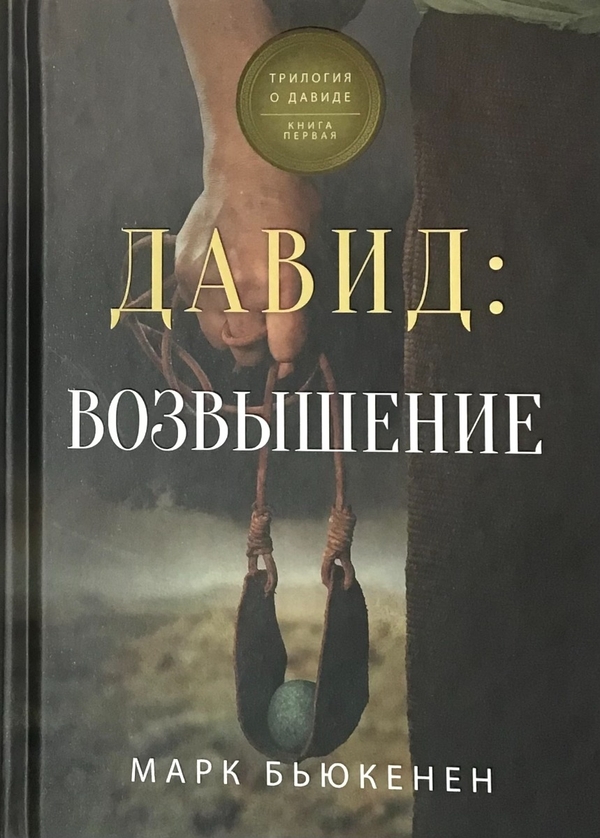 [object Object] «Давид. Возвышение», автор Марк Б'юкенен - фото №3 - мініатюра