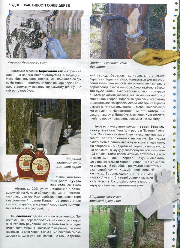 Бумажная книга «Дивовижні рослини. Ілюстрована енциклопедія» - фото №1