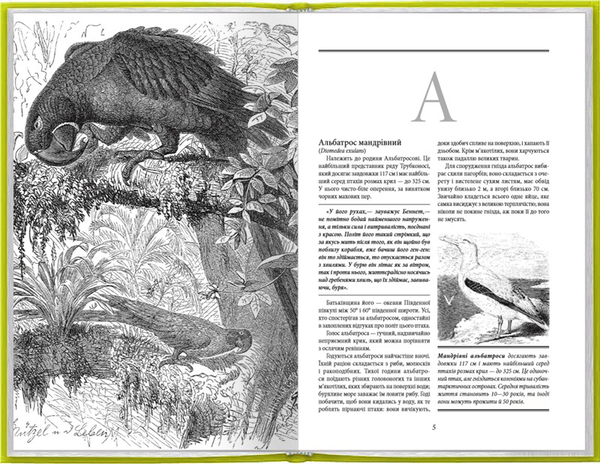 Паперова книга «Життя тварин. Птахи. А-К», автор Альфред Брем - фото №1