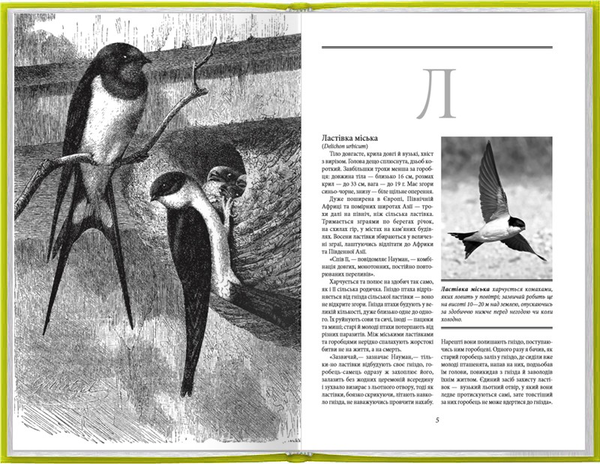 Бумажная книга «Життя тварин. Птахи. Л-Я», автор Альфред Брем - фото №1